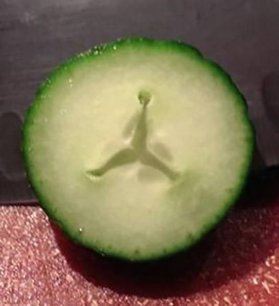 morning picdump 51 pics 12.html - 51 HD Photos | Premium Gallery 2016