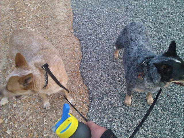 morning picdump 51 pics 12.html - 51 HD Photos | Premium Gallery 2016