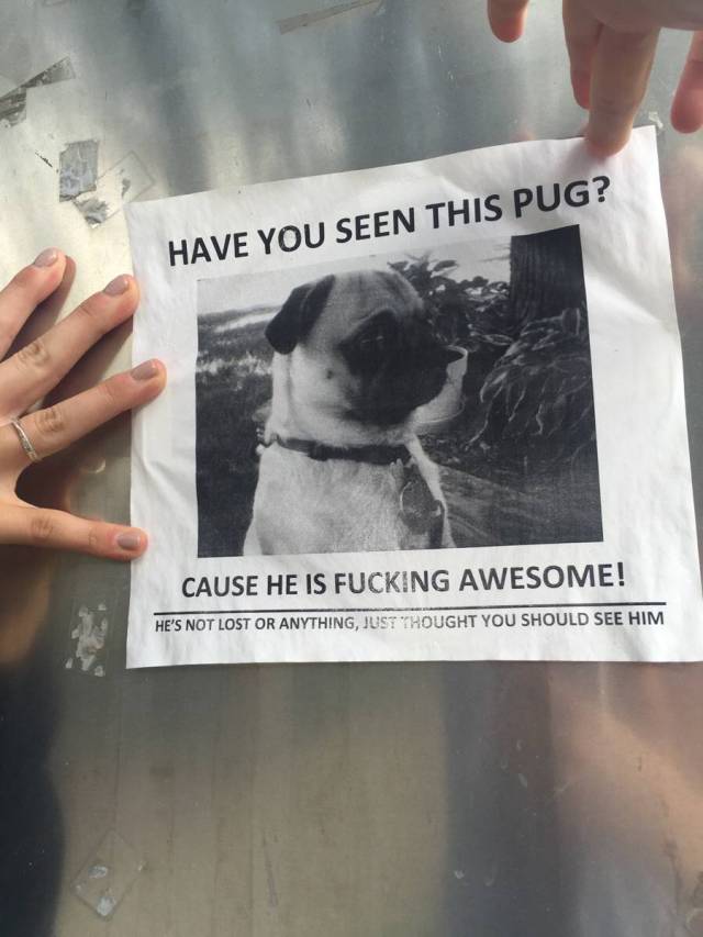 morning picdump 51 pics 12.html - 51 HD Photos | Premium Gallery 2016