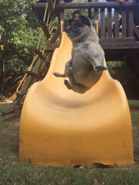 Daily Picdump