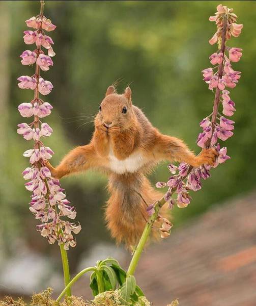 daily picdump 96 pics 35.html - 96 HD Photos | Premium Gallery 2016