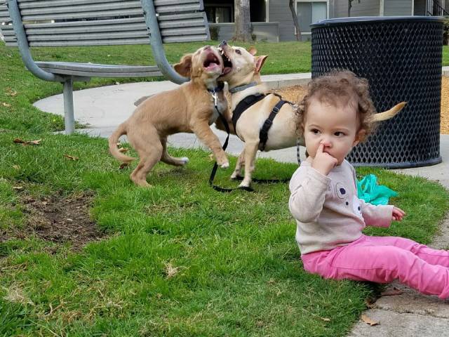 daily picdump 96 pics 35.html - 96 HD Photos | Premium Gallery 2016