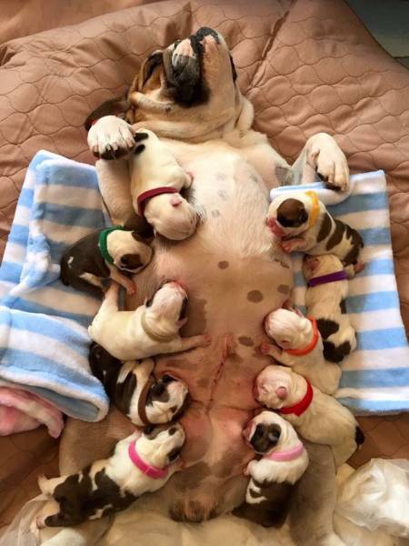 daily picdump 96 pics 35.html - 96 HD Photos | Premium Gallery 2016