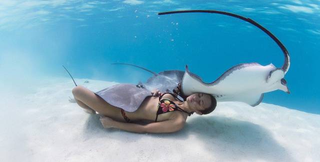 daily picdump 96 pics 35.html - 96 HD Photos | Premium Gallery 2016