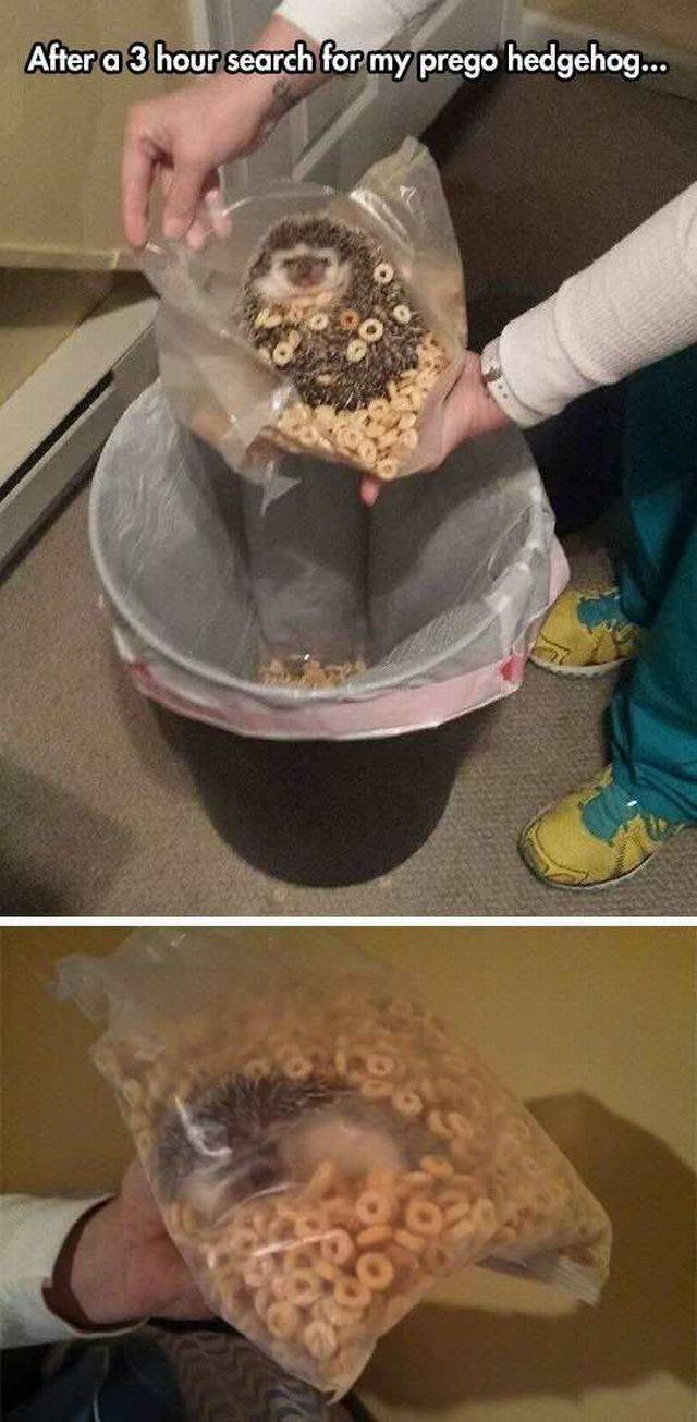 daily picdump 96 pics 35.html - 96 HD Photos | Premium Gallery 2016