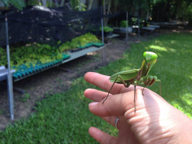 morning picdump 50 pics 4.html - 50 HD Photos | Premium Gallery 2016