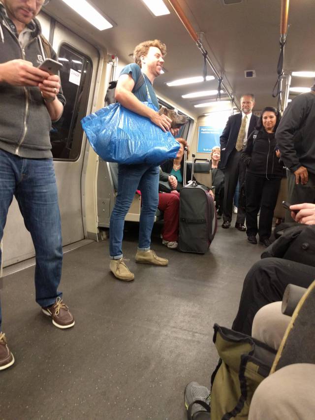 morning picdump 50 pics 4.html - 50 HD Photos | Premium Gallery 2016