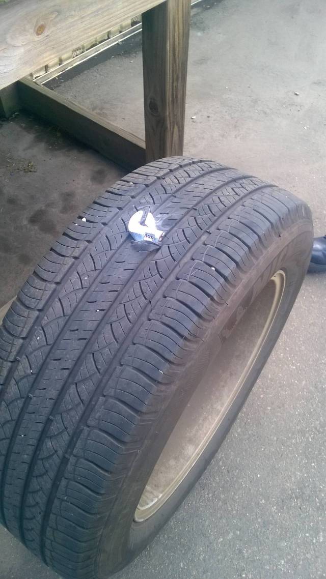 morning picdump 50 pics 4.html - 50 HD Photos | Premium Gallery 2016