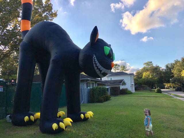 daily picdump 92 pics 14.html - 92 HD Photos | Premium Gallery 2016