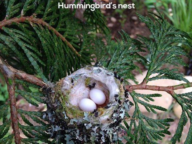 daily picdump 92 pics 14.html - 92 HD Photos | Premium Gallery 2016