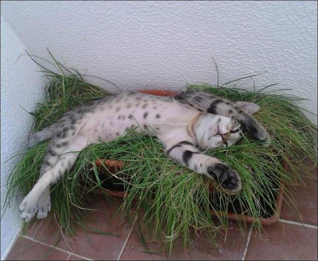 daily picdump 92 pics 14.html - 92 HD Photos | Premium Gallery 2016