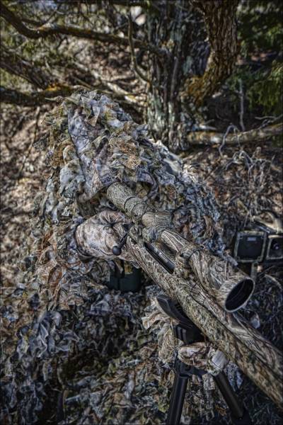 daily picdump 92 pics 14.html - 92 HD Photos | Premium Gallery 2016