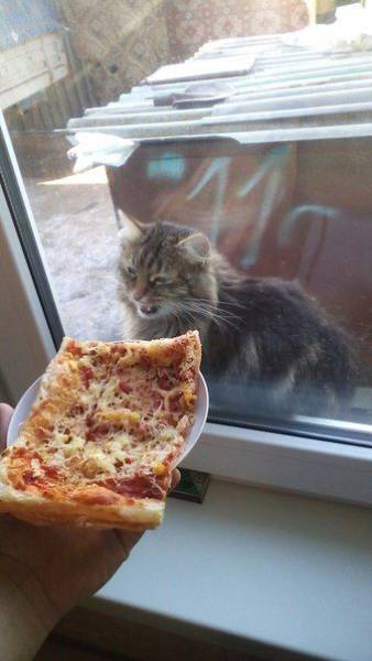 daily picdump 92 pics 14.html - 92 HD Photos | Premium Gallery 2016