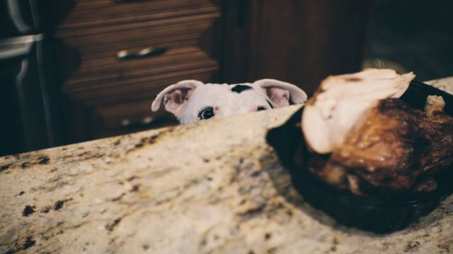 daily picdump 92 pics 14.html - 92 HD Photos | Premium Gallery 2016