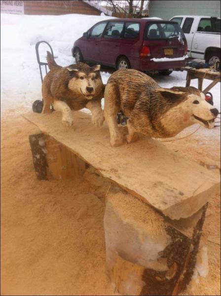 daily picdump 92 pics 14.html - 92 HD Photos | Premium Gallery 2016