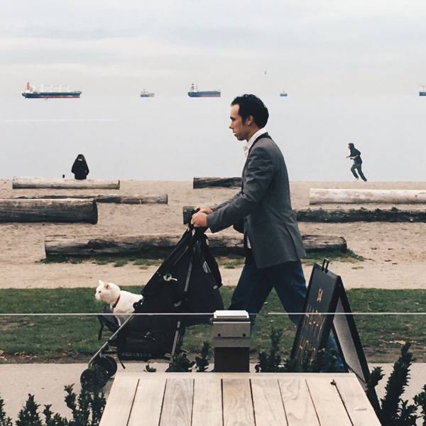 daily picdump 92 pics 14.html - 92 HD Photos | Premium Gallery 2016