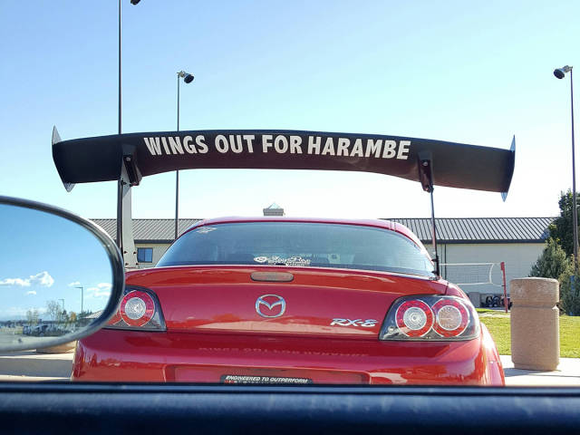 Morning Picdump