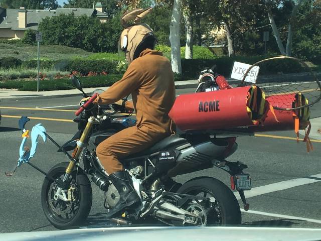 Morning Picdump