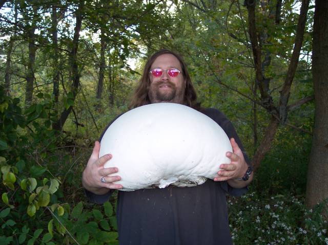 morning picdump 50 pics 17.html - 50 HD Photos | Premium Gallery 2016