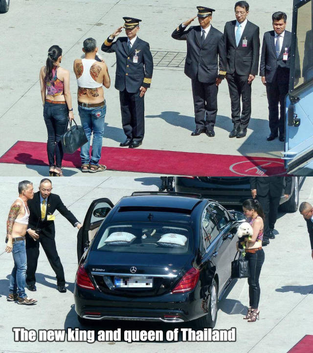 Morning Picdump