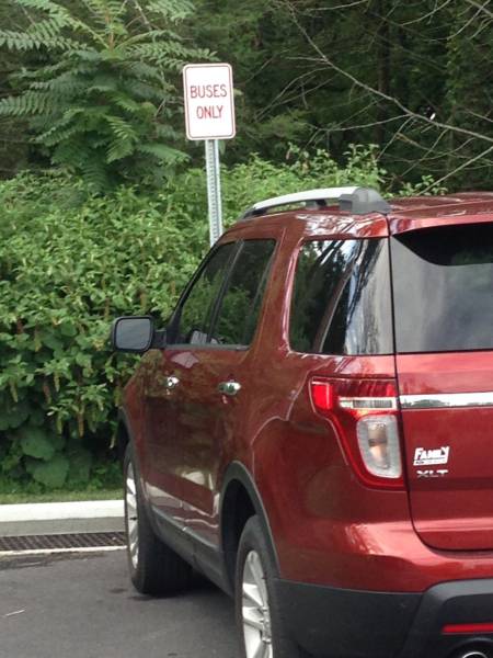 daily picdump weekend edition 74 pics 26.html - 74 HD Photos | Premium Gallery 2016