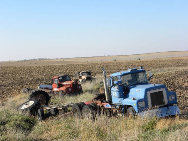 daily picdump weekend edition 74 pics 26.html - 74 HD Photos | Premium Gallery 2016