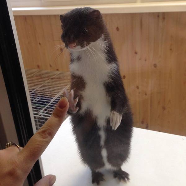 Daily Picdump [WEEKEND EDITION]