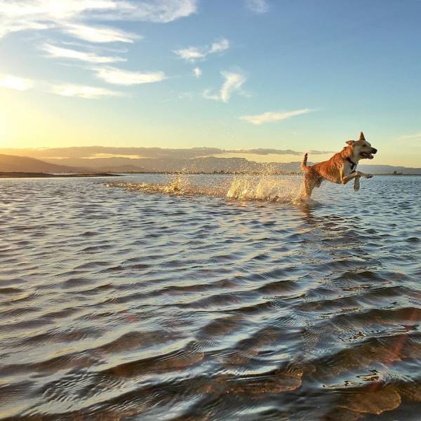 daily picdump weekend edition 74 pics 26.html - 74 HD Photos | Premium Gallery 2016