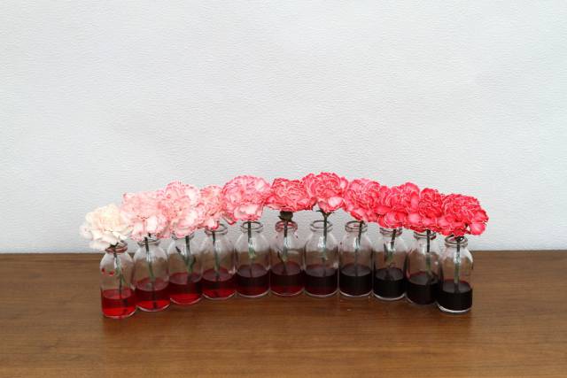 daily picdump weekend edition 74 pics 26.html - 74 HD Photos | Premium Gallery 2016