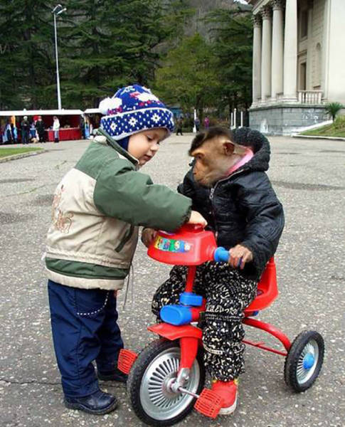 daily picdump weekend edition 74 pics 26.html - 74 HD Photos | Premium Gallery 2016