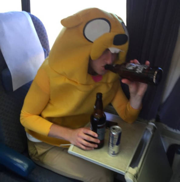 daily picdump weekend edition 74 pics 26.html - 74 HD Photos | Premium Gallery 2016