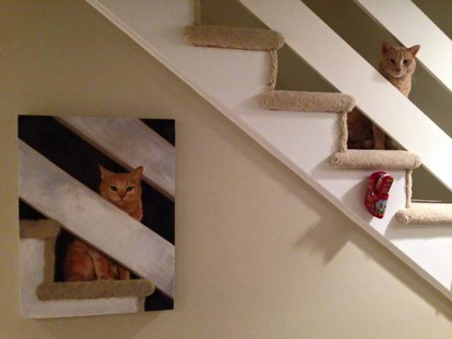 daily picdump weekend edition 74 pics 26.html - 74 HD Photos | Premium Gallery 2016