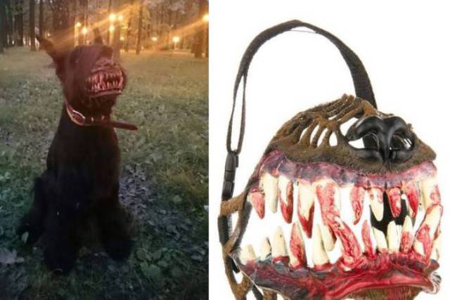 Creepy Pictures That Are Worst Than Any Nightmares