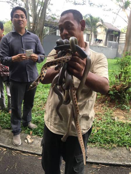 daily picdump 88 pics 43.html - 88 HD Photos | Premium Gallery 2016