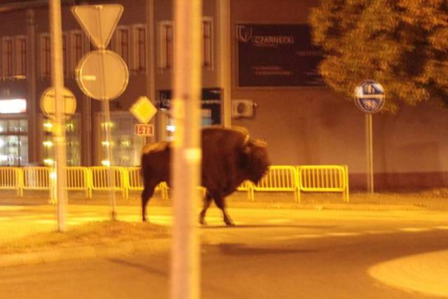 daily picdump 88 pics 43.html - 88 HD Photos | Premium Gallery 2016