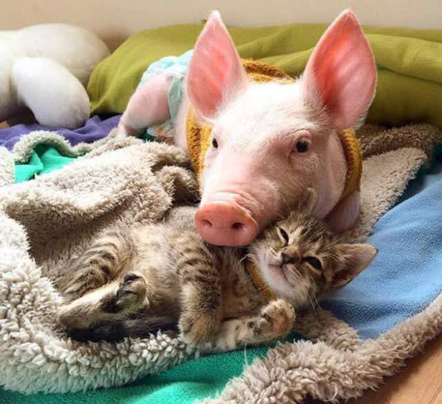 daily picdump 88 pics 43.html - 88 HD Photos | Premium Gallery 2016