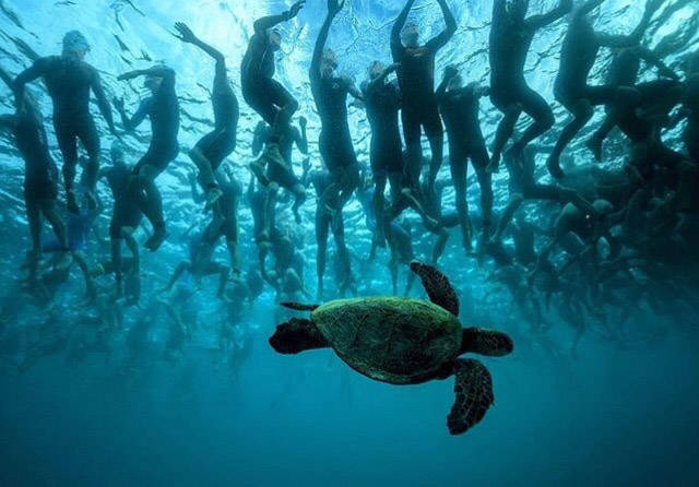 daily picdump 88 pics 43.html - 88 HD Photos | Premium Gallery 2016