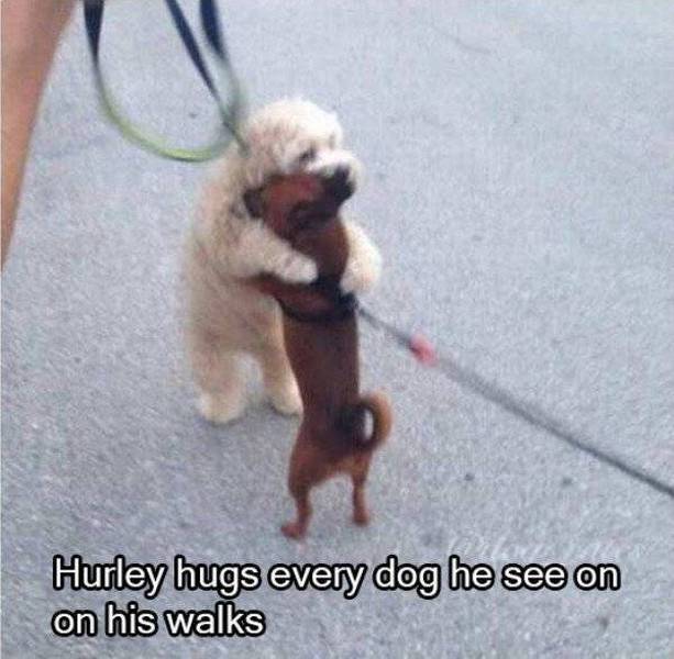 morning picdump 57 pics 14.html - 57 HD Photos | Premium Gallery 2016