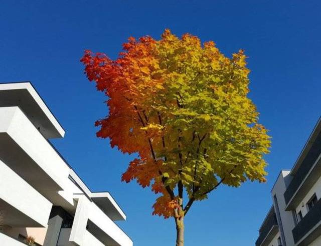 morning picdump 57 pics 14.html - 57 HD Photos | Premium Gallery 2016