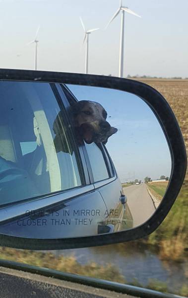 morning picdump 57 pics 14.html - 57 HD Photos | Premium Gallery 2016