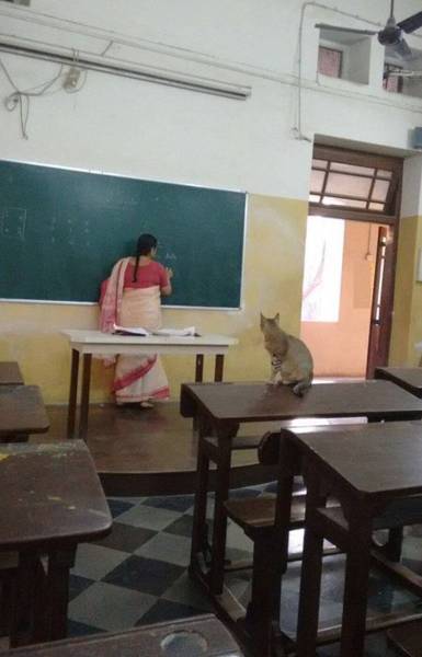 morning picdump 57 pics 14.html - 57 HD Photos | Premium Gallery 2016