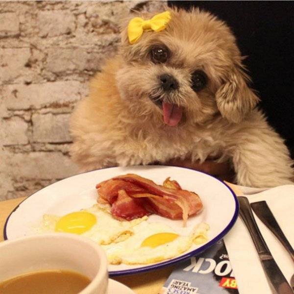 morning picdump 57 pics 14.html - 57 HD Photos | Premium Gallery 2016