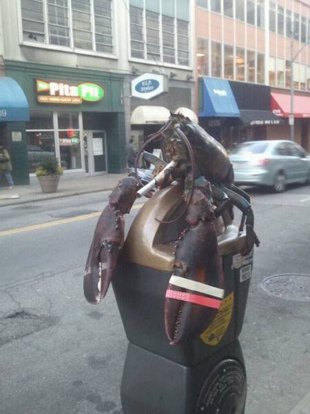 daily picdump 90 pics 45.html - 90 HD Photos | Premium Gallery 2016