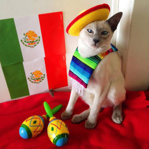 daily picdump 90 pics 45.html - 90 HD Photos | Premium Gallery 2016