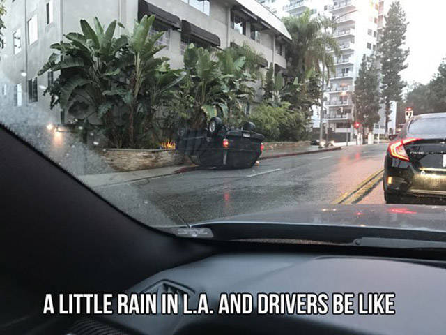 daily picdump 90 pics 45.html - 90 HD Photos | Premium Gallery 2016