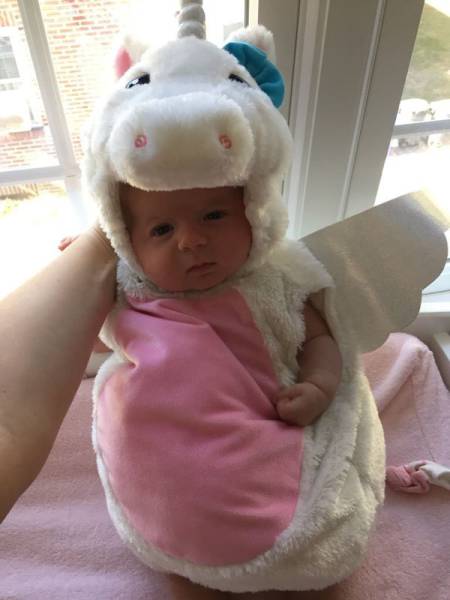 daily picdump 90 pics 45.html - 90 HD Photos | Premium Gallery 2016