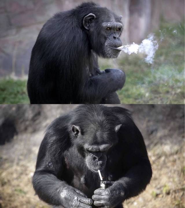 daily picdump 90 pics 45.html - 90 HD Photos | Premium Gallery 2016