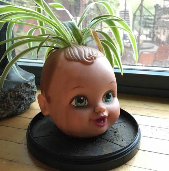 morning picdump 54 pics 15.html - 54 HD Photos | Premium Gallery 2016