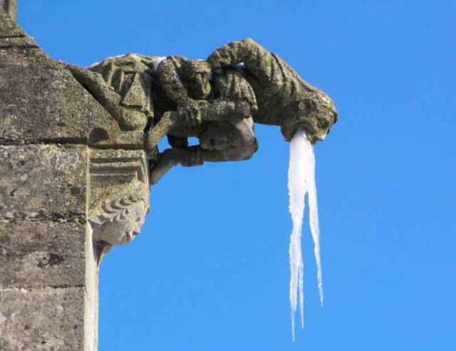 morning picdump 54 pics 15.html - 54 HD Photos | Premium Gallery 2016