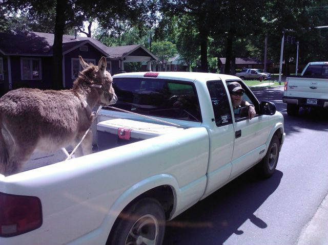 daily picdump 80 pics 33.html - 80 HD Photos | Premium Gallery 2016